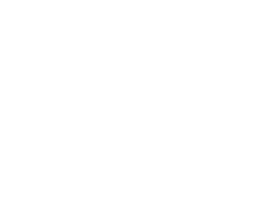 Brucoblurp Logo